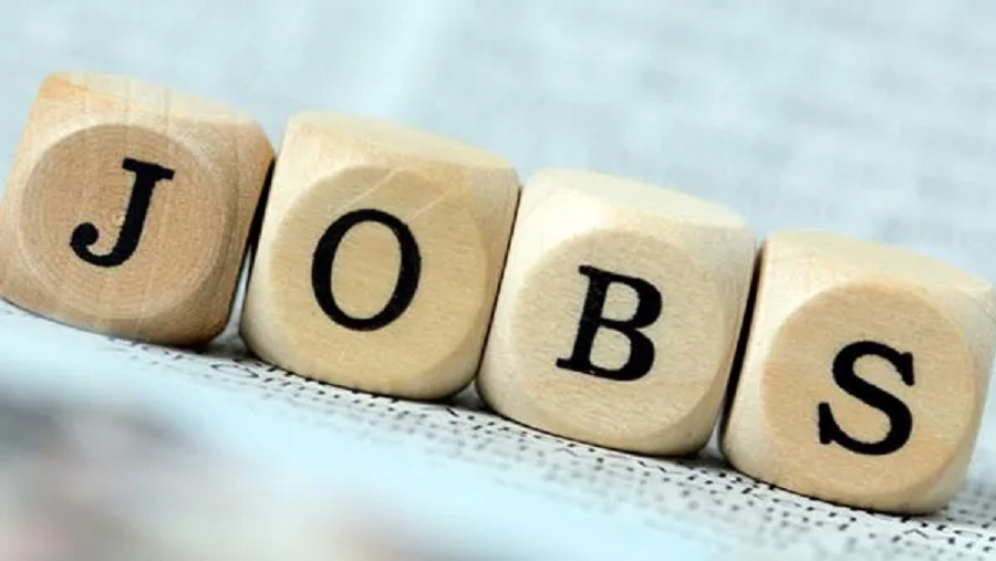 Jobs 2024