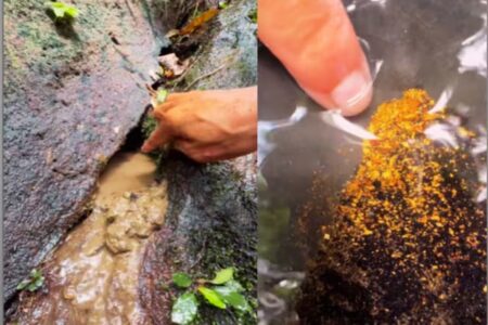 Hidden Treasure Found in the Soil