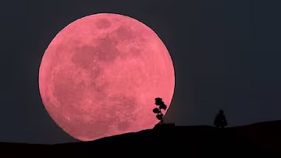 Pink Moon