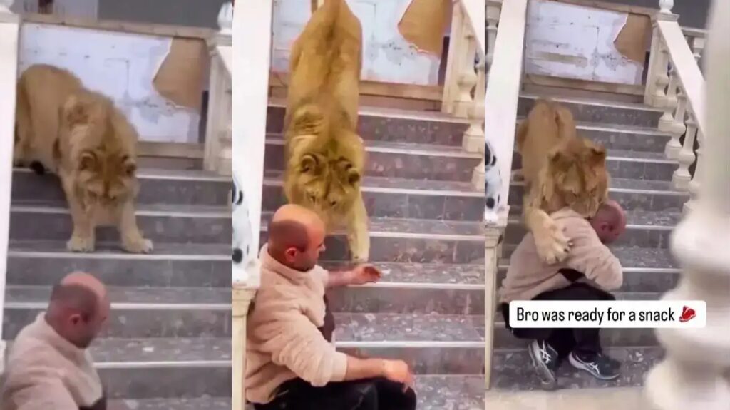 Viral Video