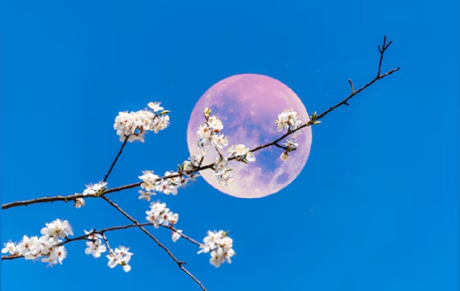 Flower Moon