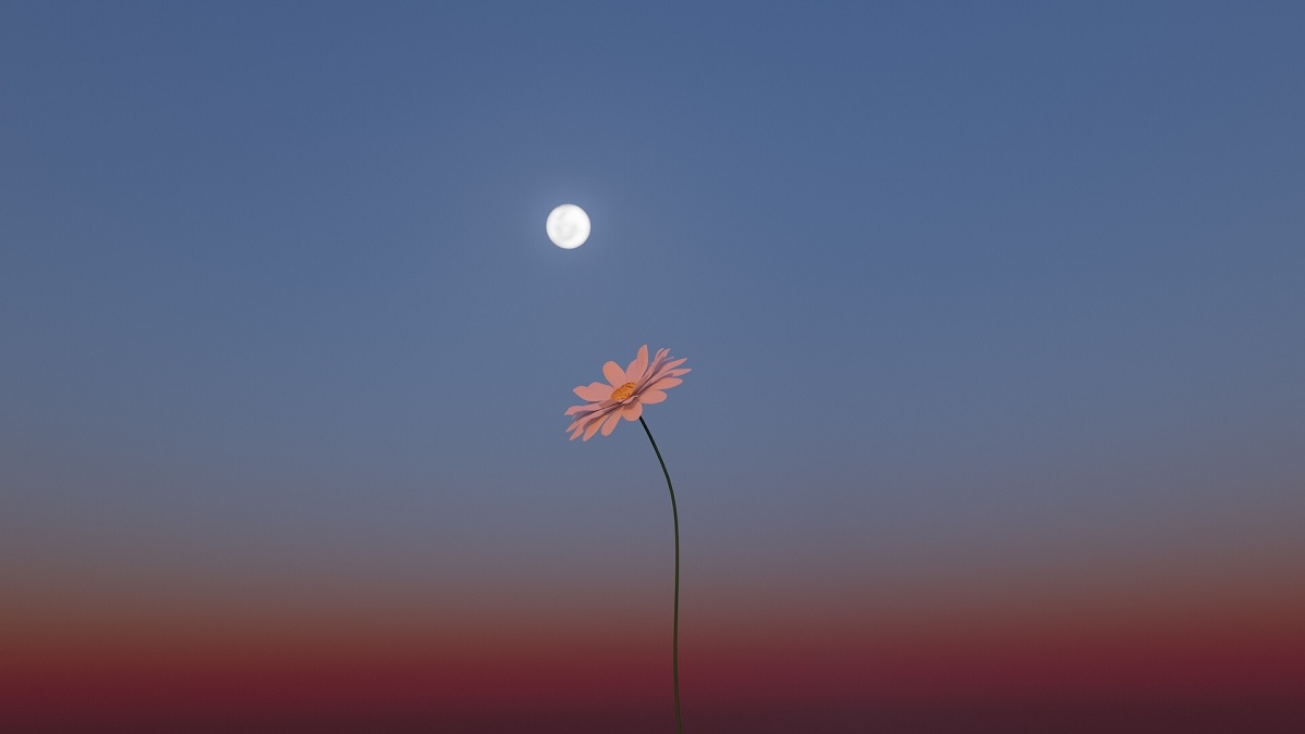 Flower Moon
