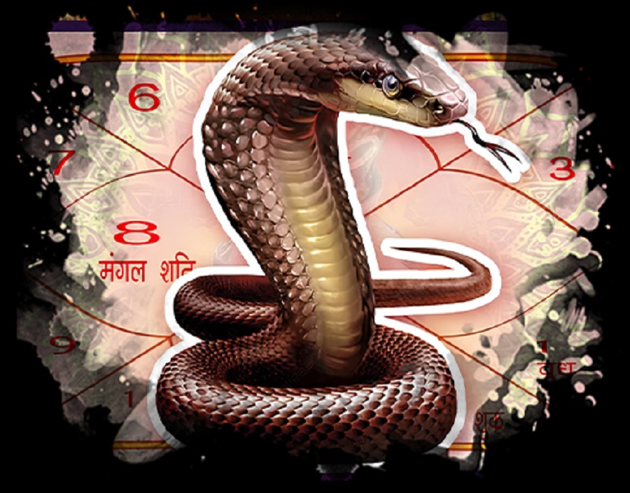 Remedies for Kalsarp Dosha