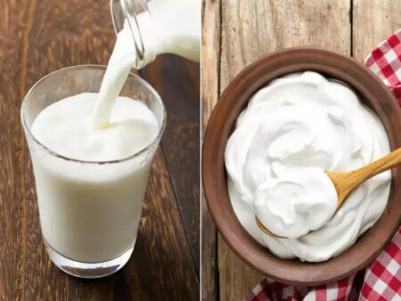 Which Language Word is Milk and Curd