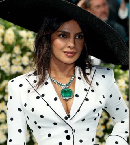 Met Gala 2025