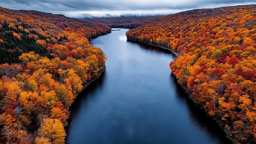 Most Dangerous Rivers