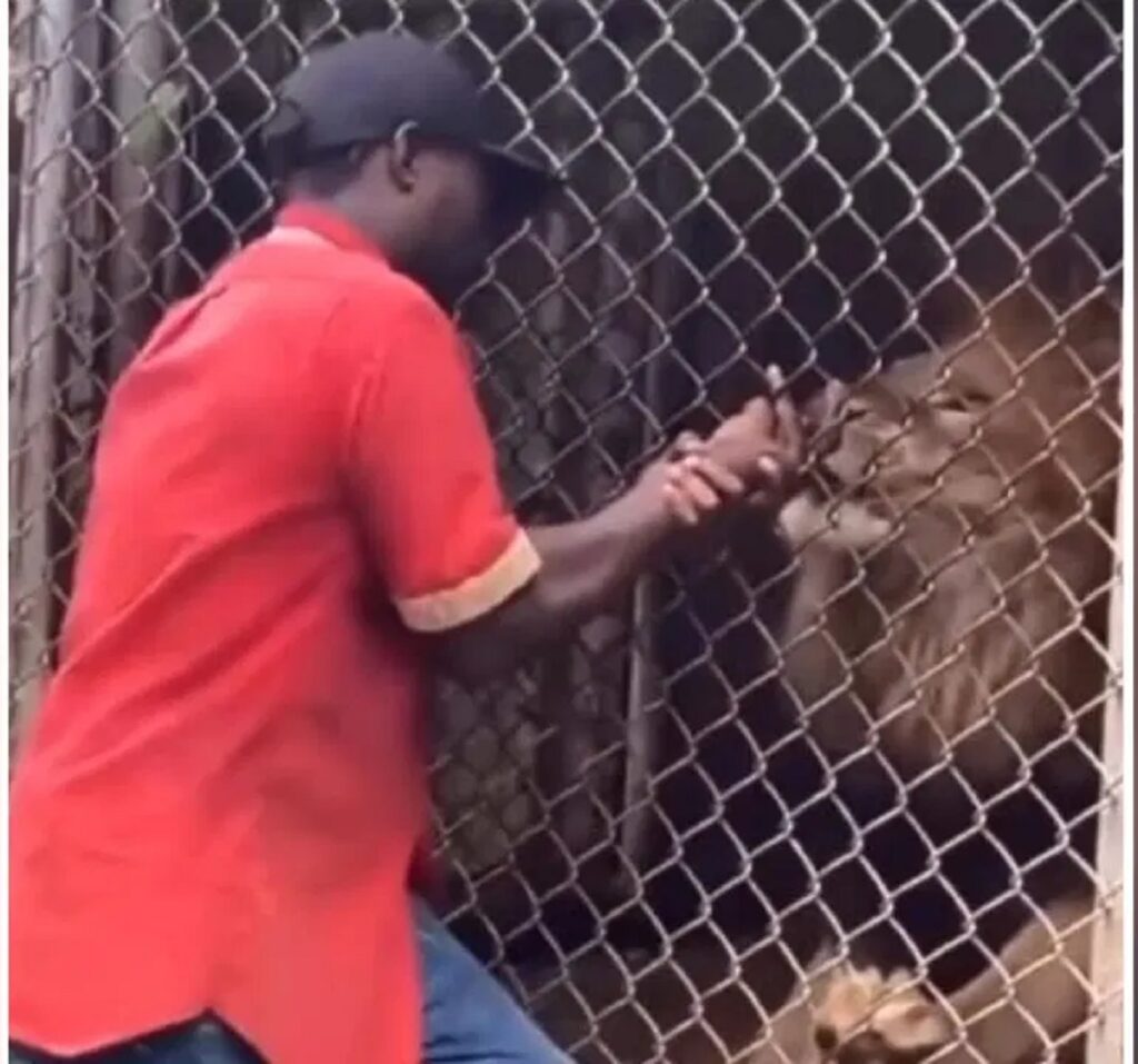 Viral Video