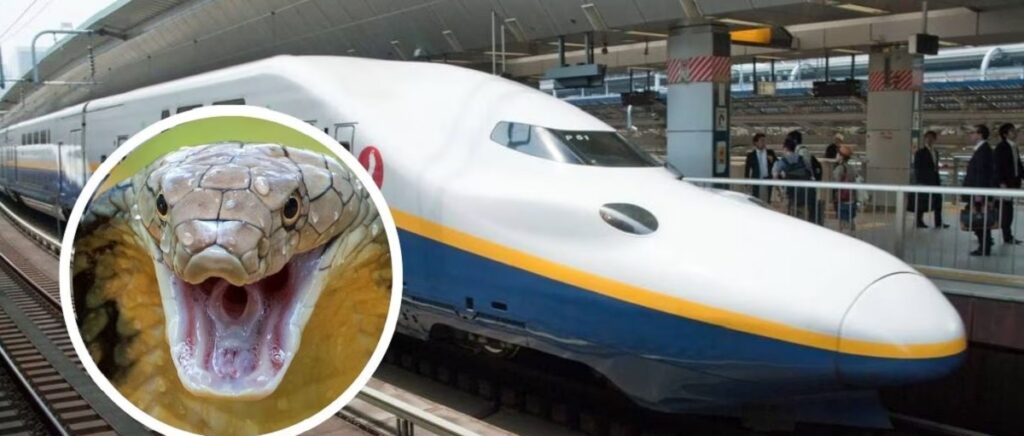 Snake Haults Japanese Bullet Train