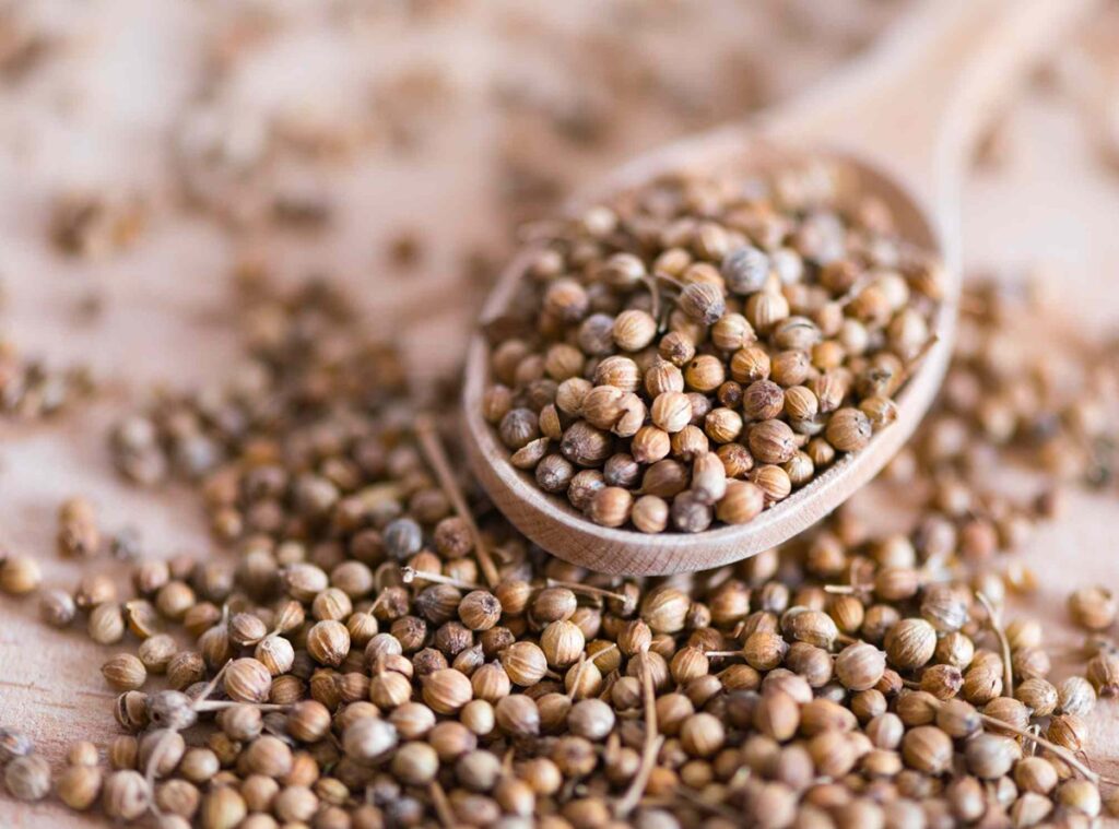 Coriander seeds benefits