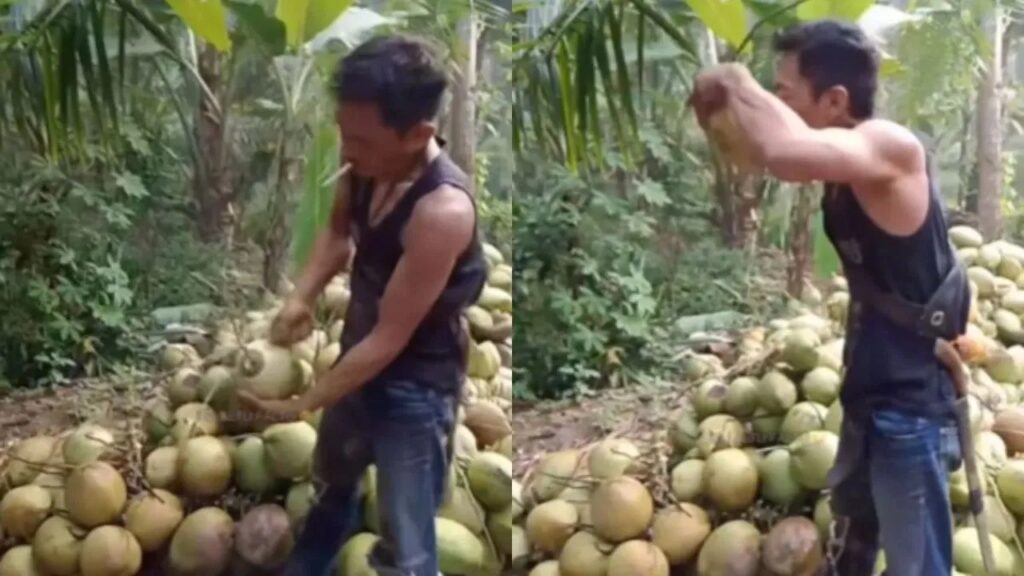 Viral Video