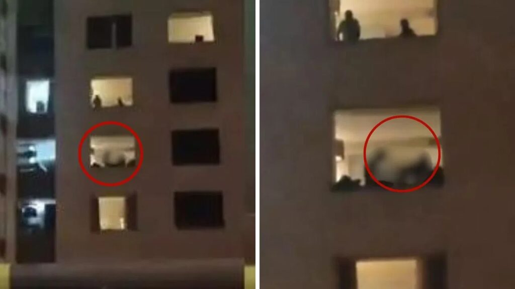 Hotel Video Viral