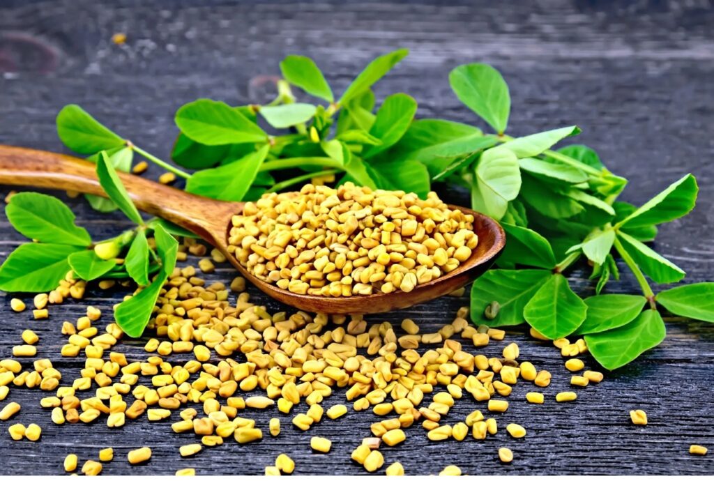 Fenugreek Water Benefits