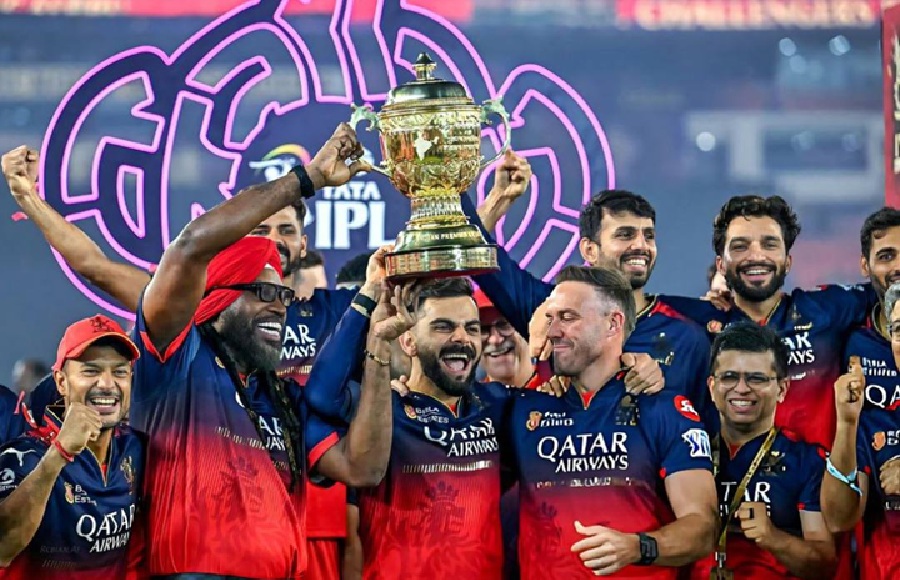 IPL Revenue 2025