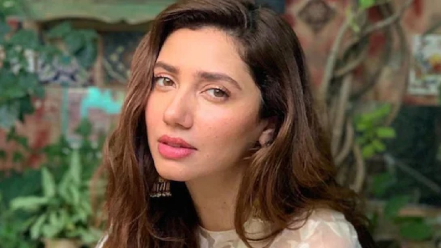 Pakistan celebrity accounts blocked in India