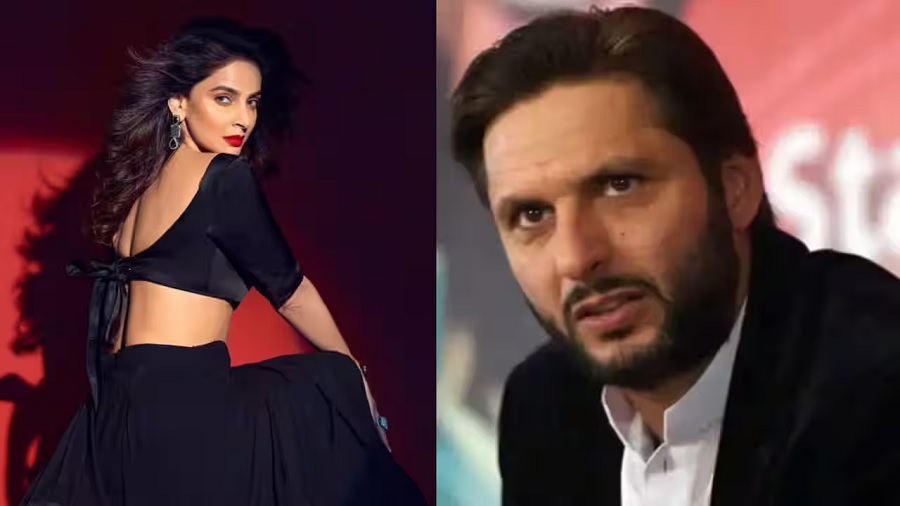 Pakistan celebrity accounts blocked in India