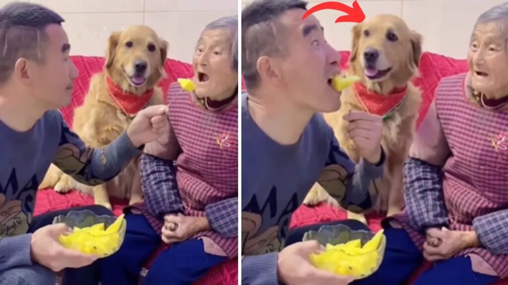 Viral Video