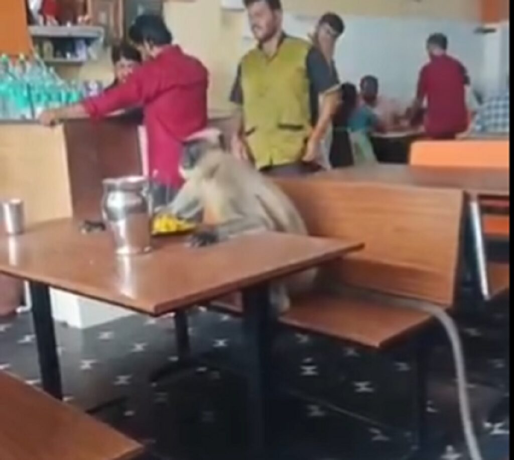 Viral Video