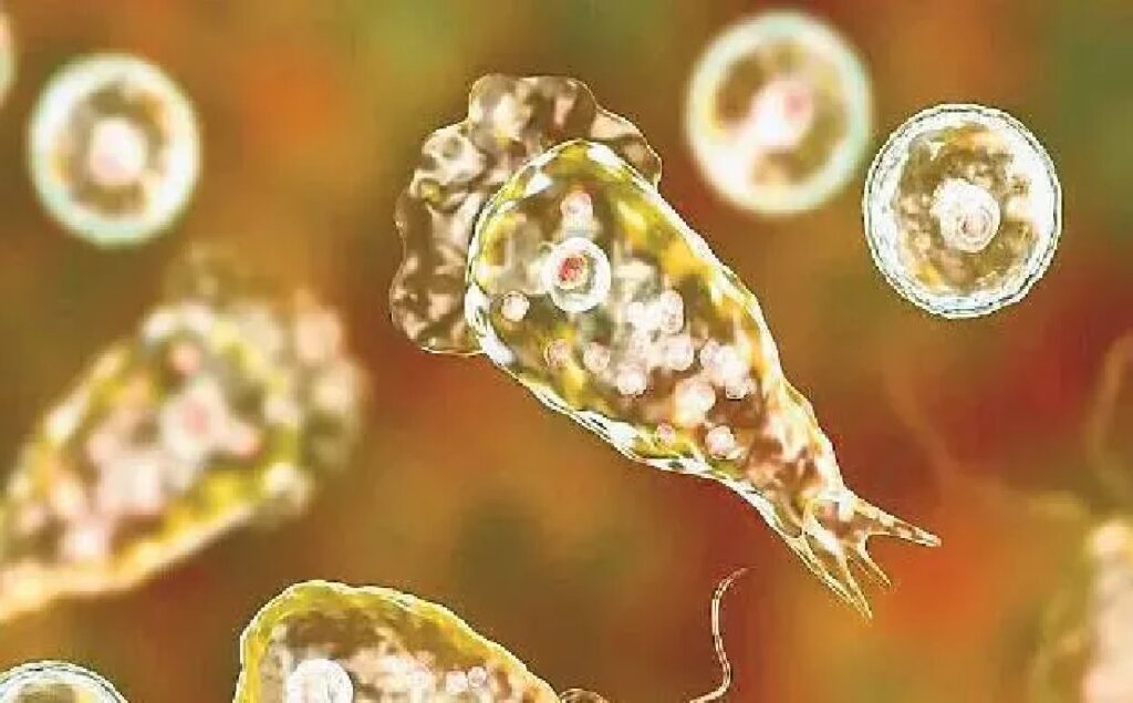 Brain Eating Amoeba: કેરળમાં મગજ ખાઈ જનાર અમીબાનો ખતરો, આ જીવલેણ ચેપથી કેવી રીતે બચવું?