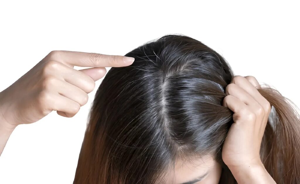 Hair Care Tips: શું શેમ્પૂ કર્યા પછી પણ તમારા વાળ ડ્રાય રહે છે? મોંઘા પ્રોડક્ટ્સ છોડો અને અપનાવો આ 5 કુદરતી ઉપાયો